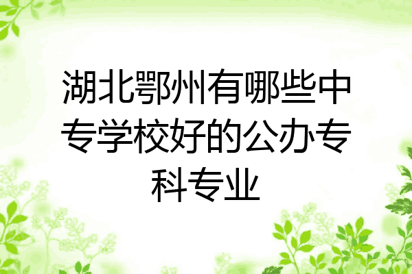 湖北鄂州有哪些中专学校好的公办专科专业