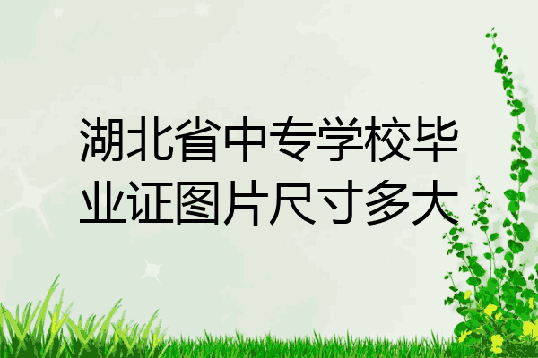 湖北省中专学校毕业证图片尺寸多大