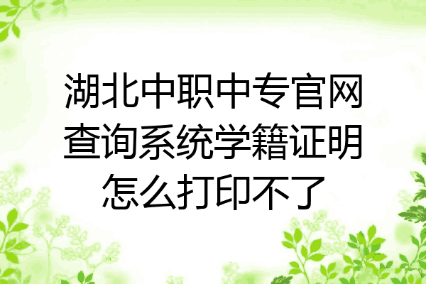 湖北中职中专官网查询系统学籍证明怎么打印不了