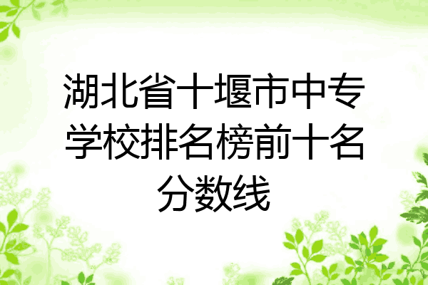 湖北省十堰市中专学校排名榜前十名分数线