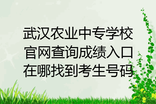 武汉农业中专学校官网查询成绩入口在哪找到考生号码