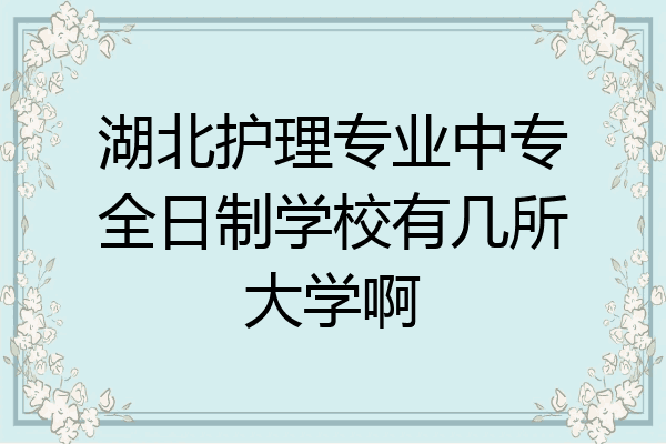 湖北护理专业中专全日制学校有几所大学啊