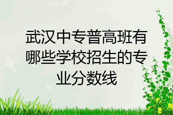 武汉中专普高班有哪些学校招生的专业分数线