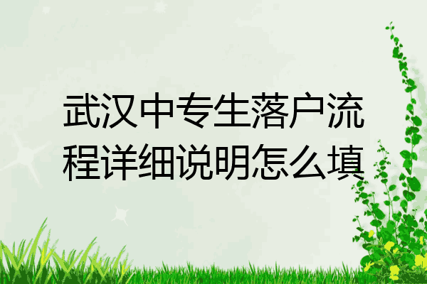 武汉中专生落户流程详细说明怎么填