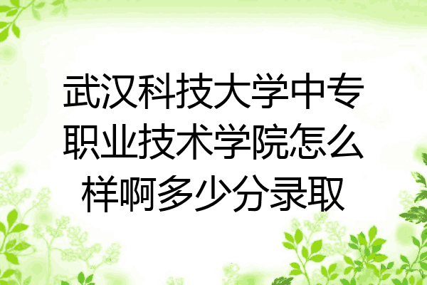 武汉科技大学中专职业技术学院怎么样啊多少分录取
