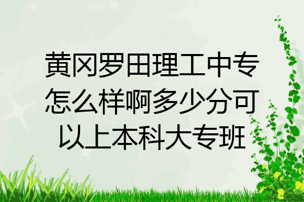黄冈罗田理工中专怎么样啊多少分可以上本科大专班