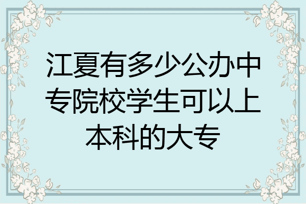 江夏有多少公办中专院校学生可以上本科的大专