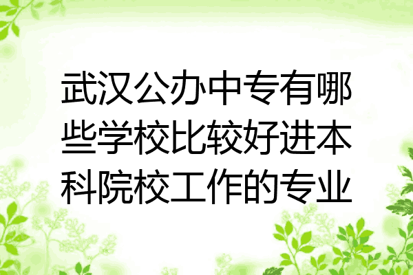 武汉公办中专有哪些学校比较好进本科院校工作的专业