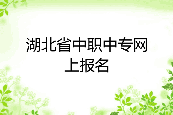 湖北省中职中专网上报名
