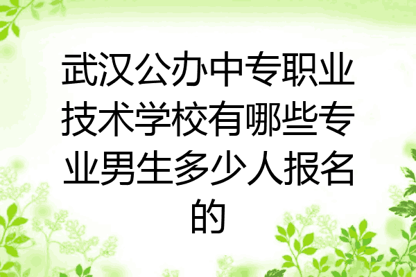 武汉公办中专职业技术学校有哪些专业男生多少人报名的