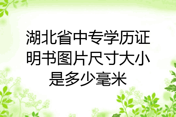 湖北省中专学历证明书图片尺寸大小是多少毫米