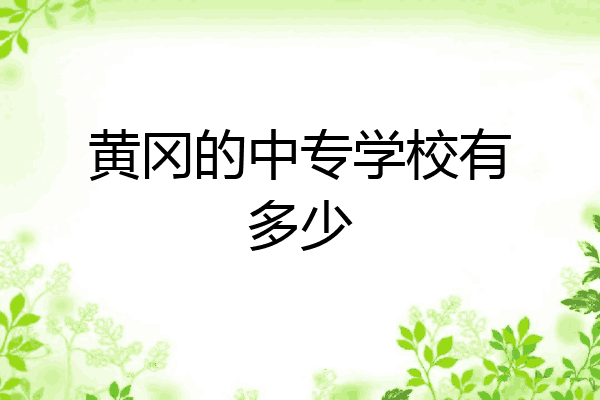 黄冈的中专学校有多少