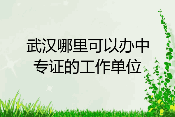 武汉哪里可以办中专证的工作单位