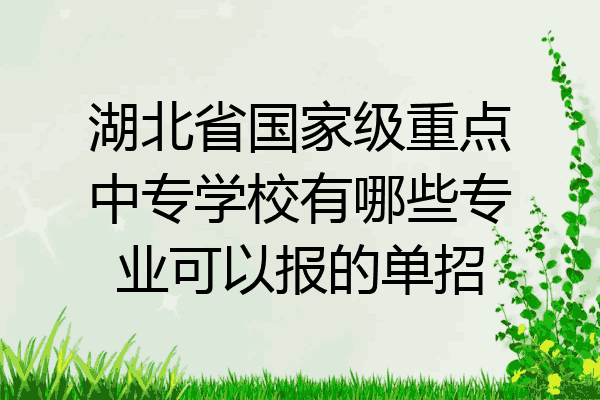 湖北省国家级重点中专学校有哪些专业可以报的单招