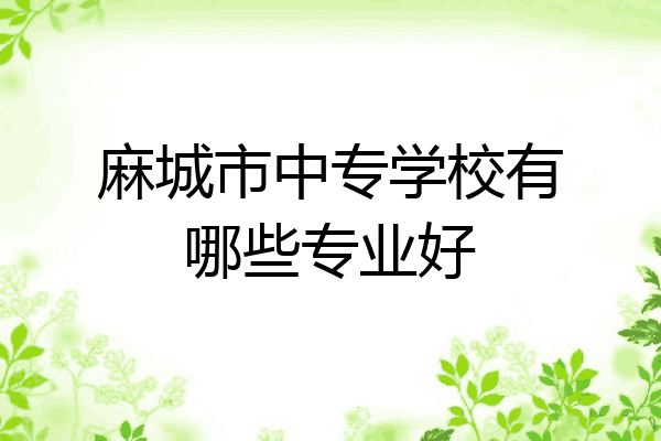 麻城市中专学校有哪些专业好
