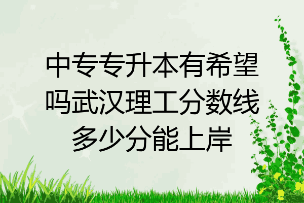 中专专升本有希望吗武汉理工分数线多少分能上岸