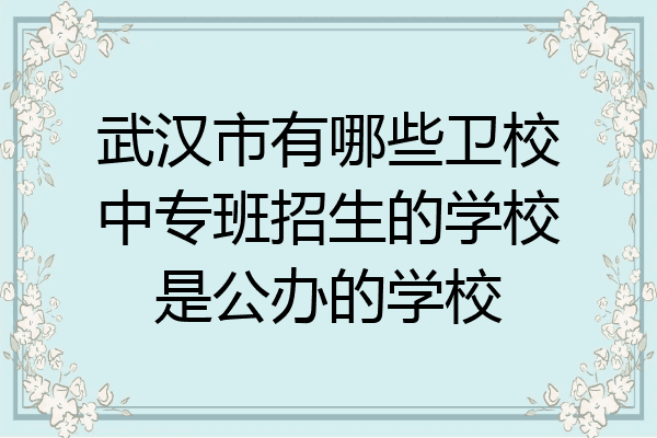 武汉市有哪些卫校中专班招生的学校是公办的学校