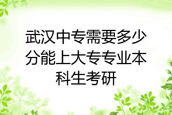 武汉中专需要多少分能上大专专业本科生考研