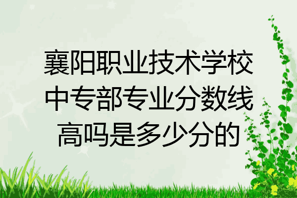 襄阳职业技术学校中专部专业分数线高吗是多少分的
