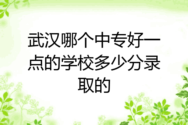 武汉哪个中专好一点的学校多少分录取的