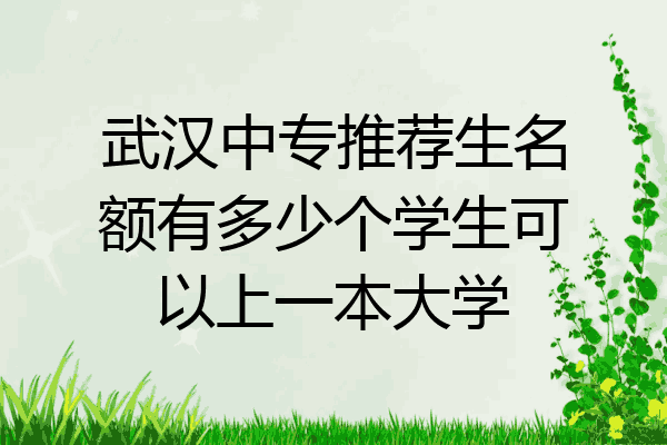 武汉中专推荐生名额有多少个学生可以上一本大学