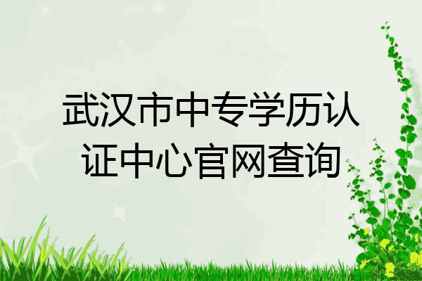武汉市中专学历认证中心官网查询