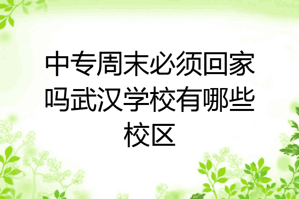 中专周末必须回家吗武汉学校有哪些校区