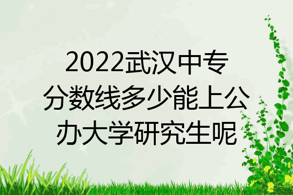 2022武汉中专分数线多少能上公办大学研究生呢