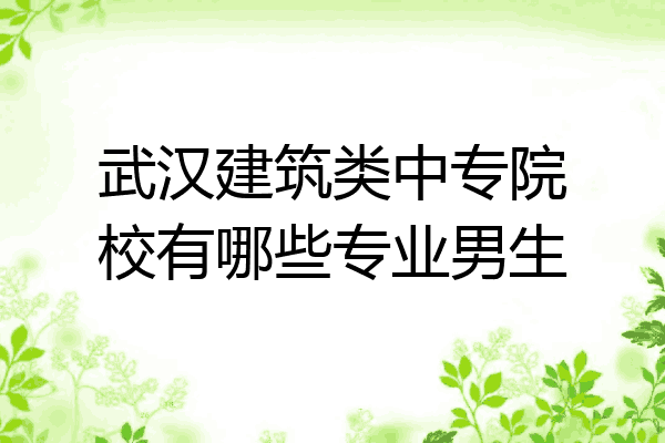 武汉建筑类中专院校有哪些专业男生