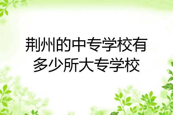 荆州的中专学校有多少所大专学校