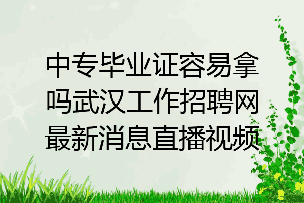 中专毕业证容易拿吗武汉工作招聘网最新消息直播视频