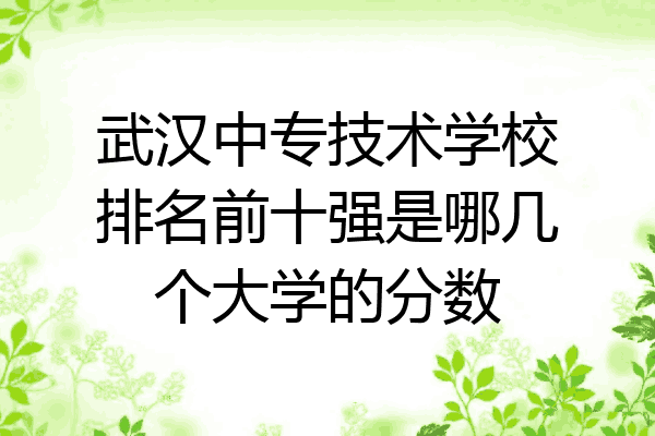 武汉中专技术学校排名前十强是哪几个大学的分数