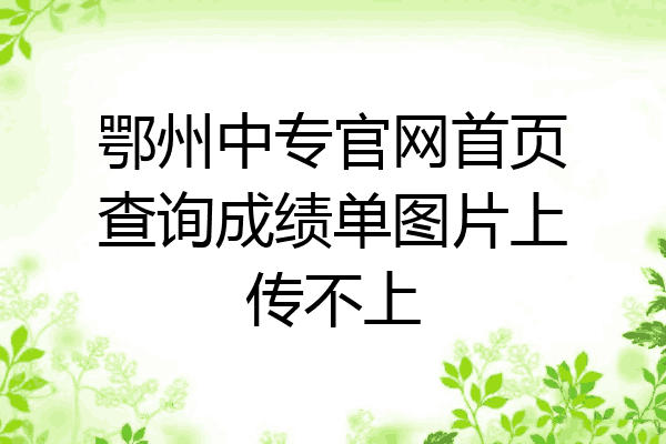 鄂州中专官网首页查询成绩单图片上传不上