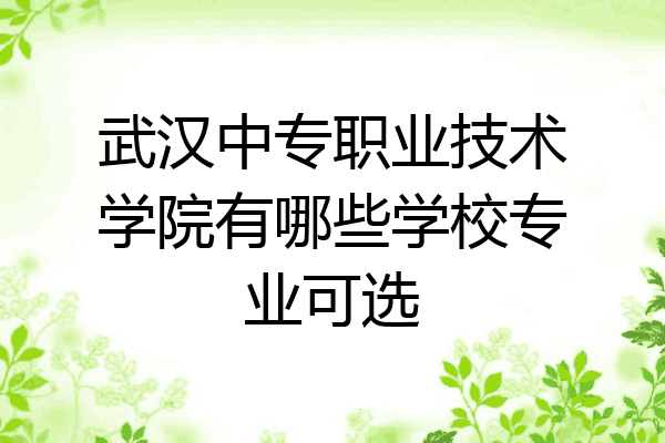 武汉中专职业技术学院有哪些学校专业可选