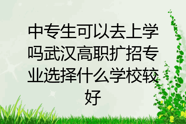 中专生可以去上学吗武汉高职扩招专业选择什么学校较好
