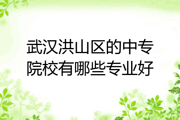 武汉洪山区的中专院校有哪些专业好
