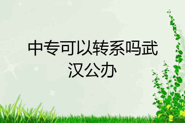 中专可以转系吗武汉公办
