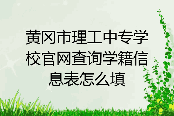 黄冈市理工中专学校官网查询学籍信息表怎么填