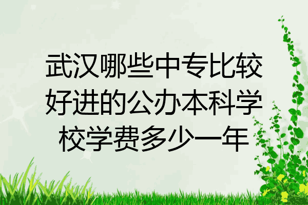 武汉哪些中专比较好进的公办本科学校学费多少一年