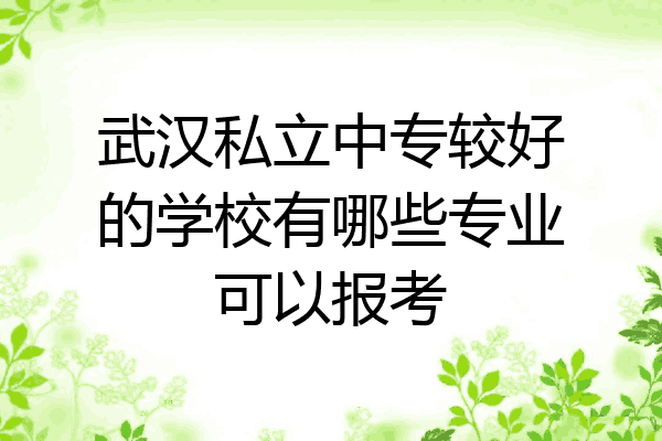武汉私立中专较好的学校有哪些专业可以报考
