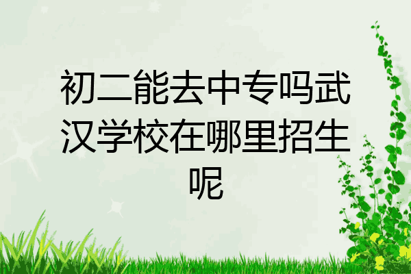 初二能去中专吗武汉学校在哪里招生呢