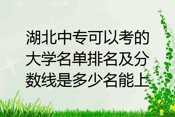 湖北中专可以考的大学名单排名及分数线是多少名能上