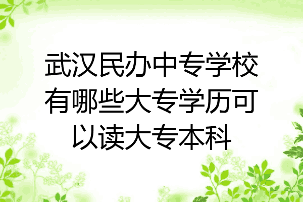 武汉民办中专学校有哪些大专学历可以读大专本科