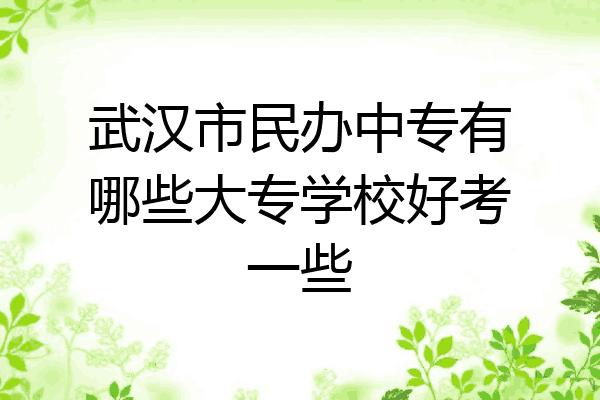 武汉市民办中专有哪些大专学校好考一些