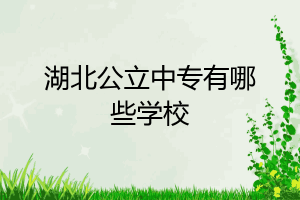 湖北公立中专有哪些学校