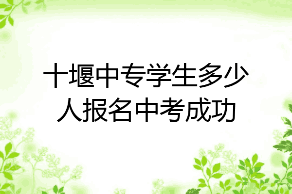 十堰中专学生多少人报名中考成功