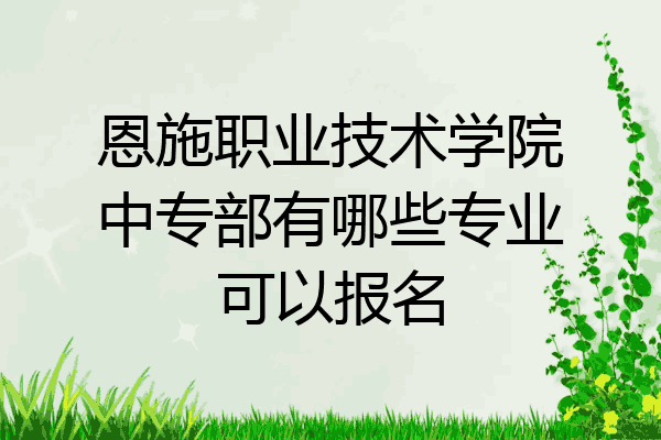 恩施职业技术学院中专部有哪些专业可以报名