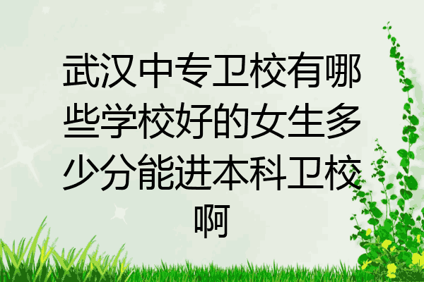 武汉中专卫校有哪些学校好的女生多少分能进本科卫校啊