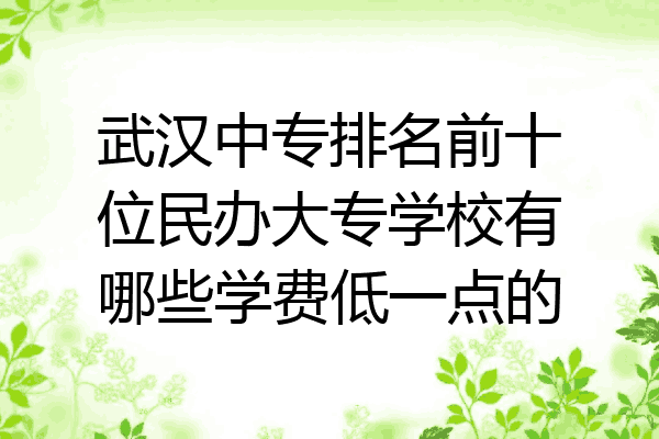 武汉中专排名前十位民办大专学校有哪些学费低一点的