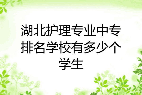 湖北护理专业中专排名学校有多少个学生